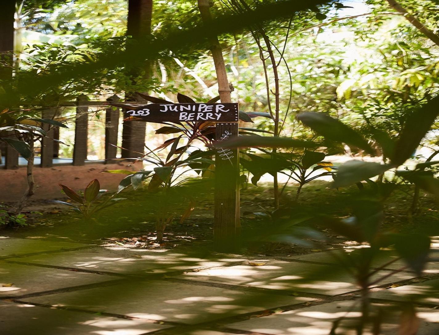 Jamboree Creek Yoga Mandrem Extérieur photo